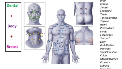 regulation thermography holistic family care thermography center